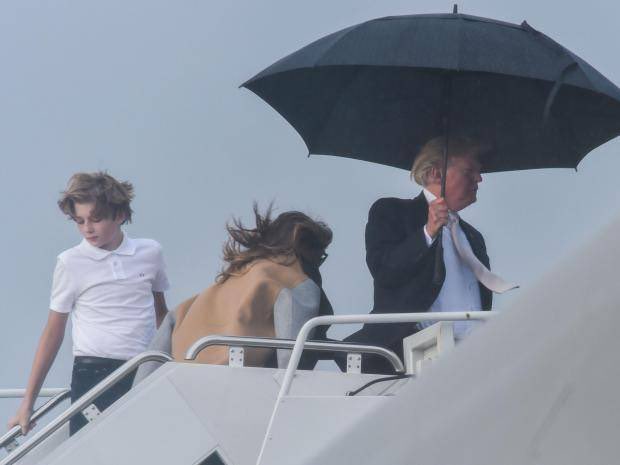 TRUMP UMBRELLA