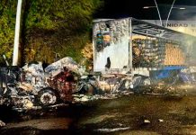 terror-en-zacatecas-amanecen-9-cuerpos-tirados-y-dos-narcobloqueos